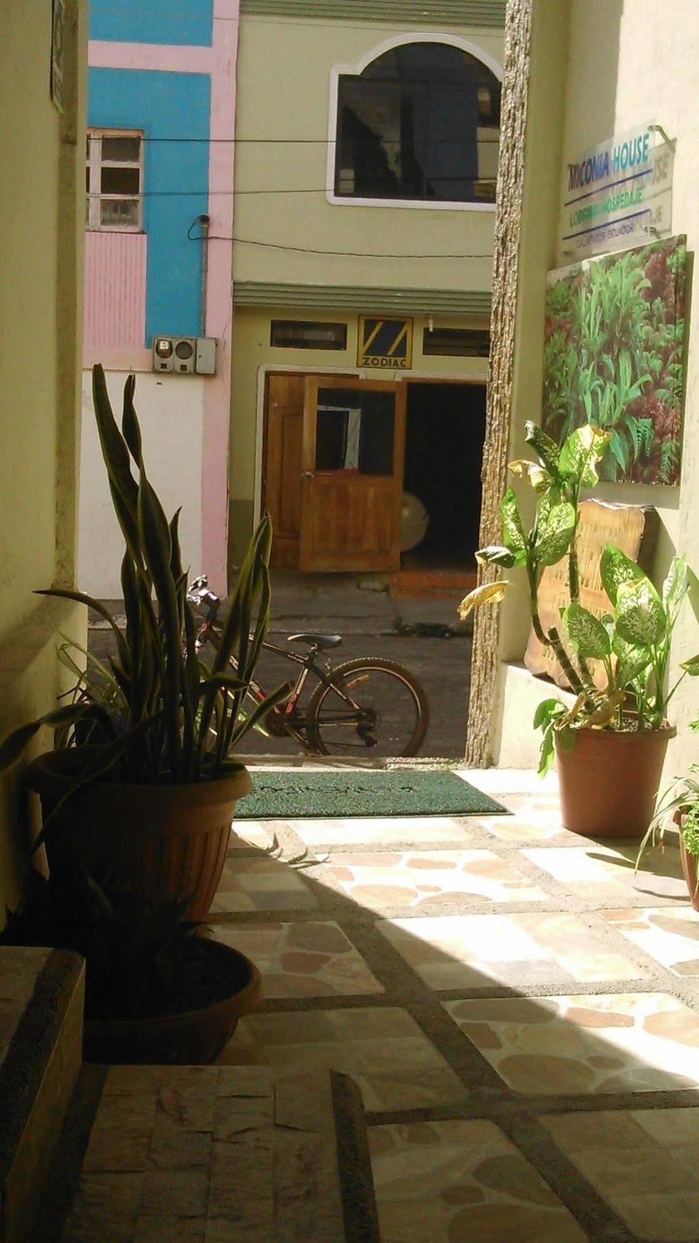 Hostal Miconia بويرتو أيورا المظهر الخارجي الصورة